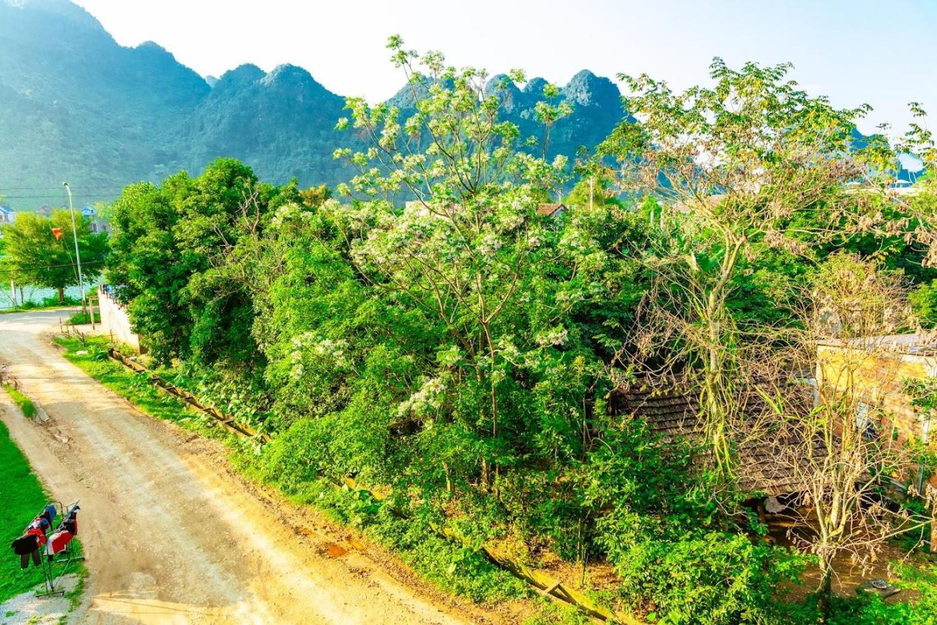 Apartamento Phong Nha Cherish House Exterior foto